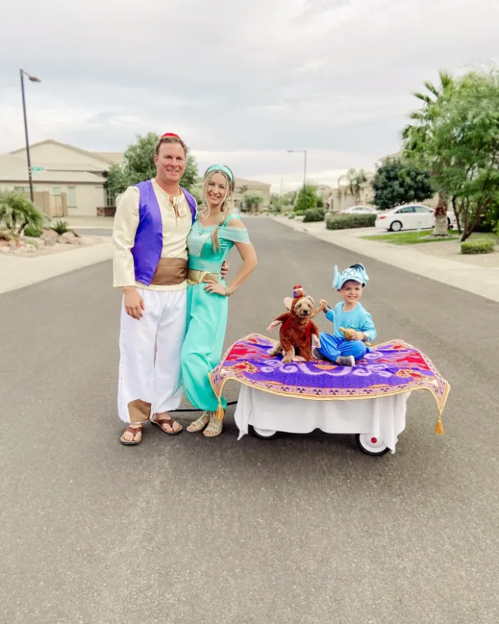 Aladdin Family Halloween Costumes