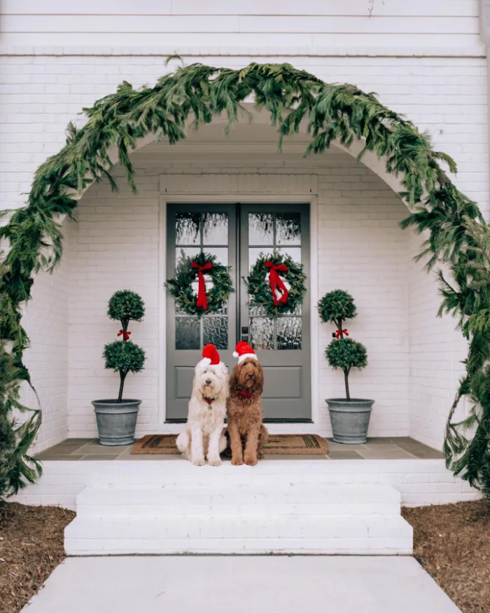 Wreaths & Pups Holiday Entry