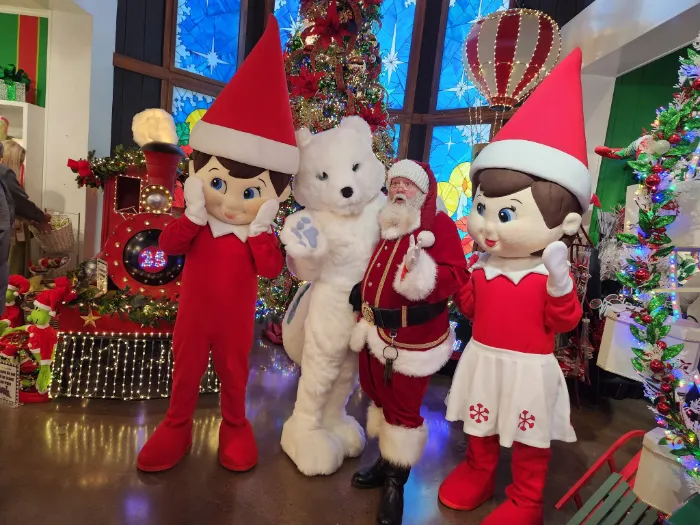 Life-Size Elf Adventure