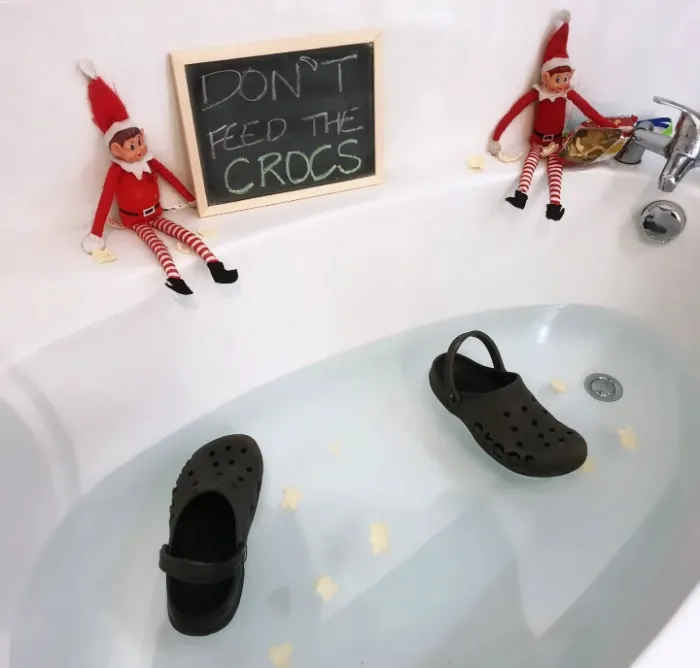 Don’t Feed the Crocs